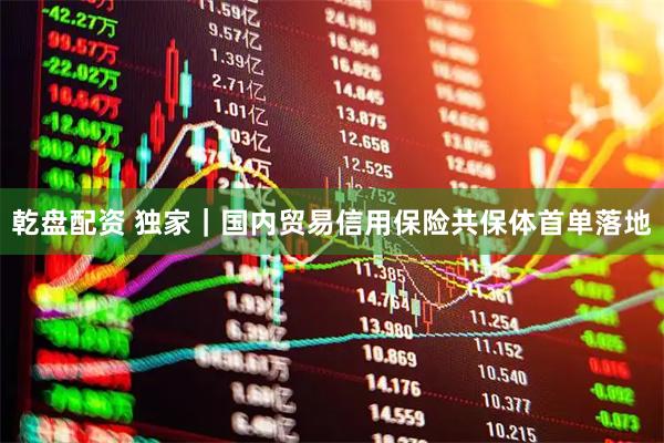 乾盘配资 独家｜国内贸易信用保险共保体首单落地