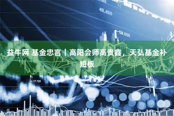 益牛网 基金忠言｜高阳会师高贵鑫，天弘基金补短板