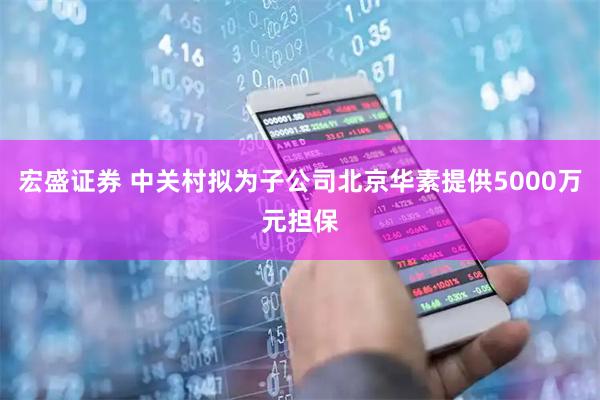 宏盛证券 中关村拟为子公司北京华素提供5000万元担保