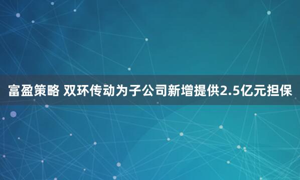 富盈策略 双环传动为子公司新增提供2.5亿元担保
