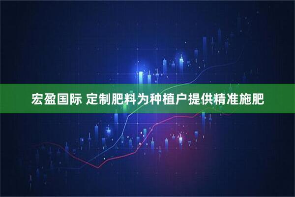 宏盈国际 定制肥料为种植户提供精准施肥