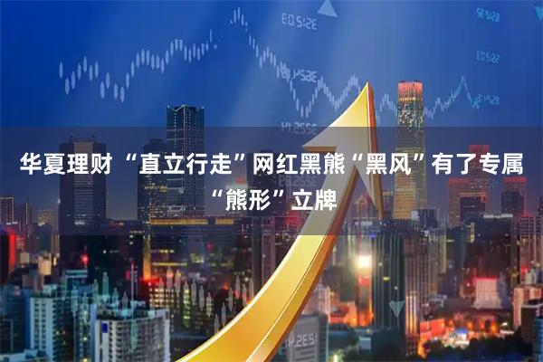 华夏理财 “直立行走”网红黑熊“黑风”有了专属“熊形”立牌