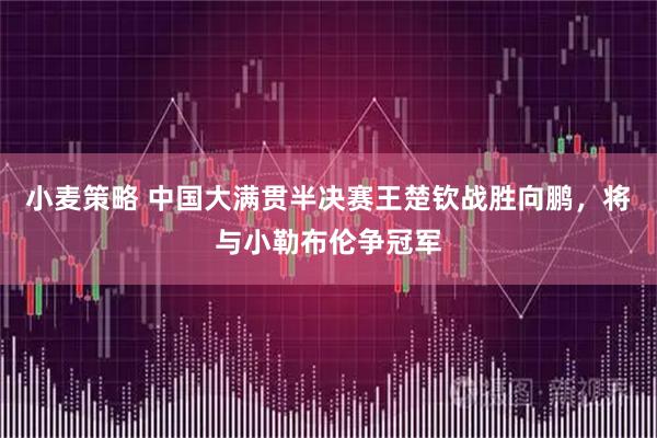 小麦策略 中国大满贯半决赛王楚钦战胜向鹏，将与小勒布伦争冠军