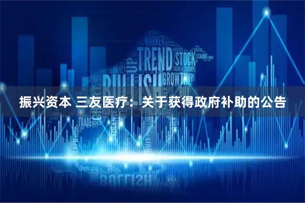 振兴资本 三友医疗：关于获得政府补助的公告