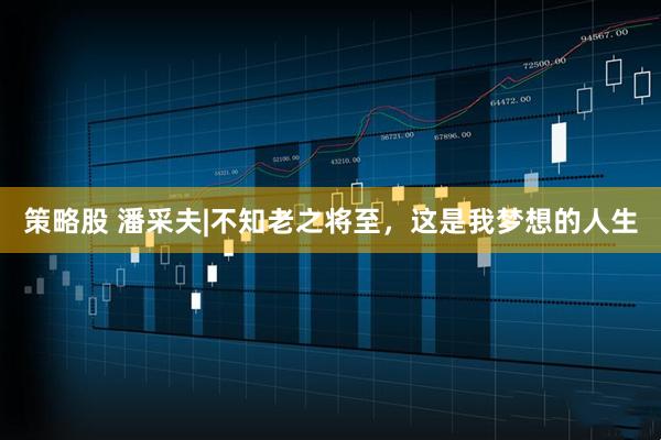 策略股 潘采夫|不知老之将至，这是我梦想的人生